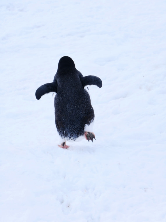 Walking away