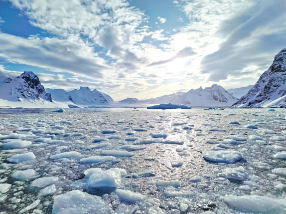 Antarctic sunshine