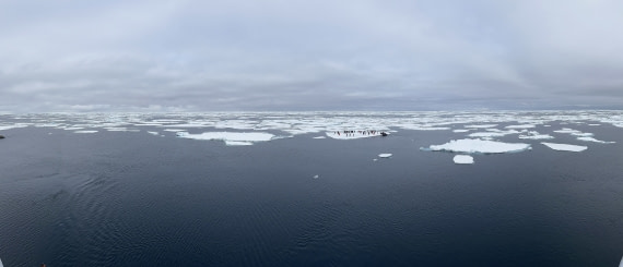 Landing on pack ice