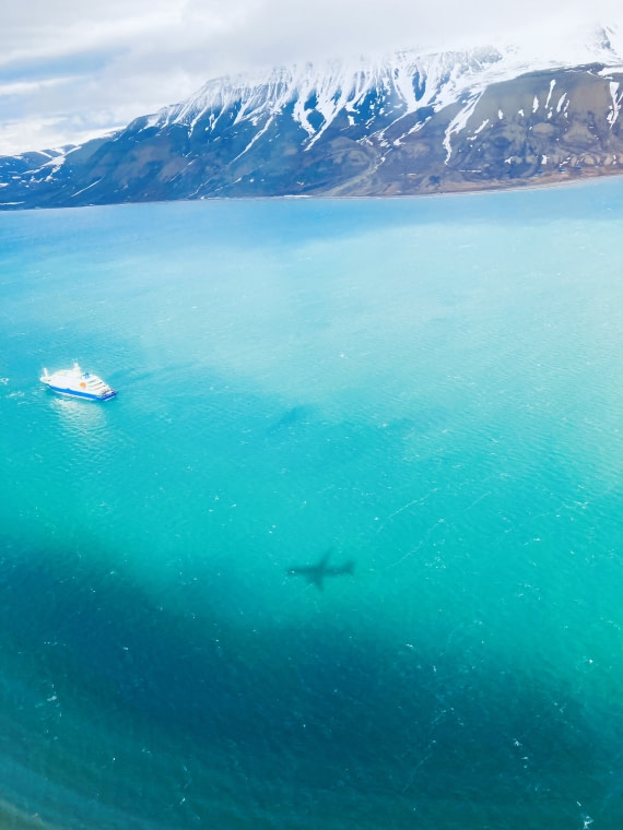 Our Plane’s Shadow as We Arrive in Svalbard, Excited to Board our Ship, the Hondius