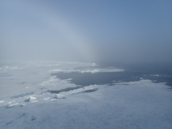 fogbow