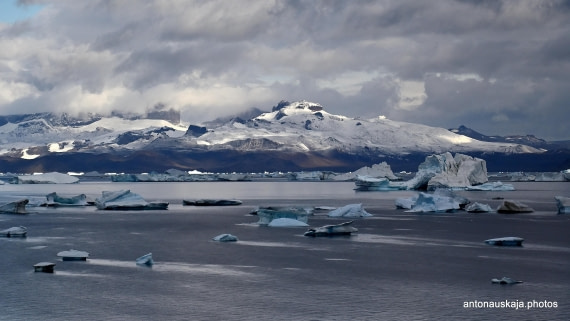 Finally! Antarctica!