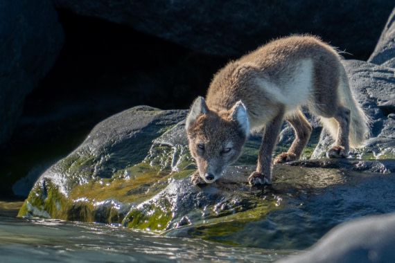 Near the water's edge