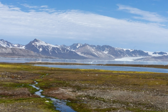 Colors of the Arctic