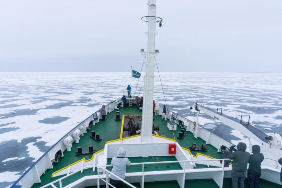 Into the pack ice