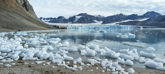Glacier beach, day 4
