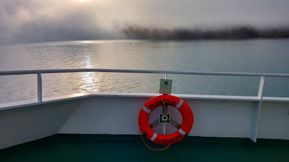 Foggy morning