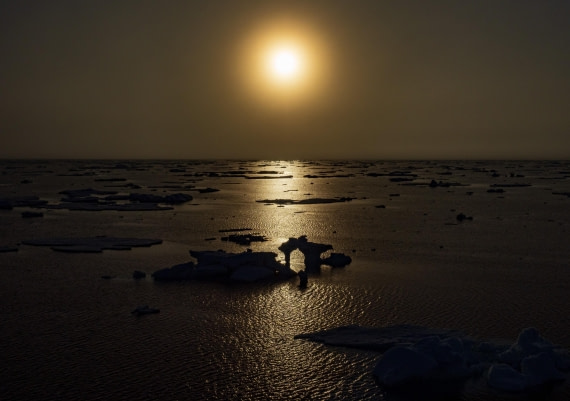 Evening sun with ice