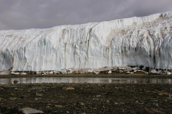 Canada Glacier in the Taylor Dry Valley