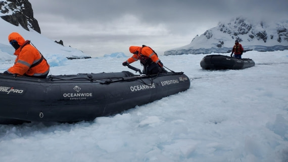Zodiac in Ice