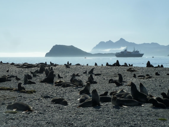 crowded beach