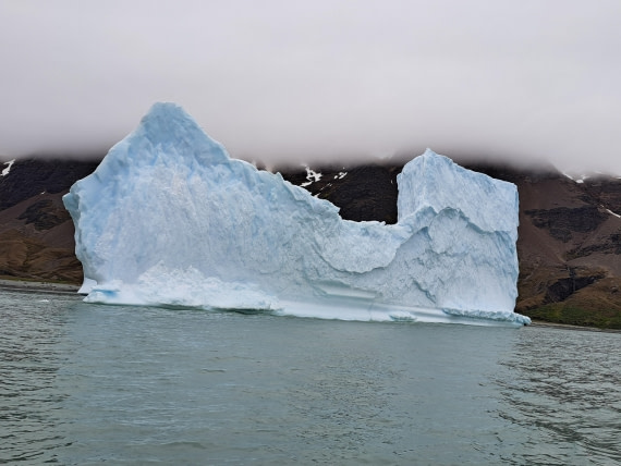 "King" of the bergs