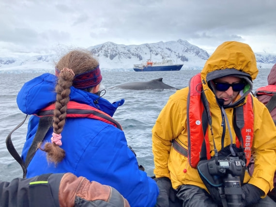 Zodiac Whale Watching