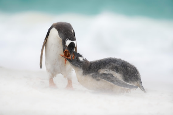 Eating on the beach