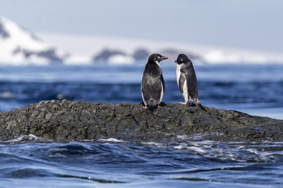 A Private Conversation