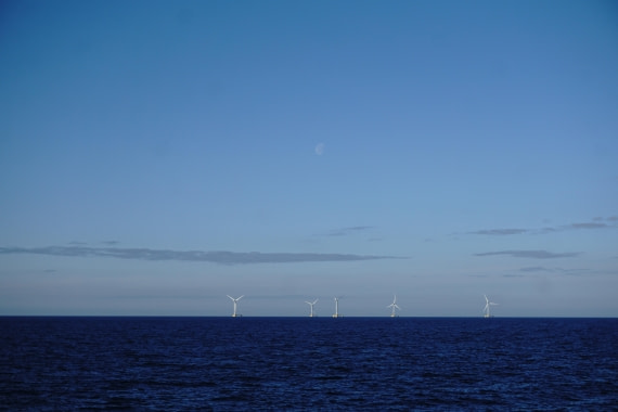 PLA01-24, Day 2, DSC06071 © Unknown photographer - Oceanwide Expeditions.JPG