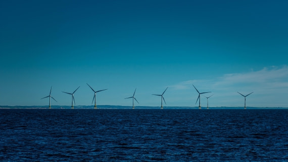 PLA01-24, Day 3, PAZ_3773 © Alexander Romanovskiy - Oceanwide Expeditions.jpg