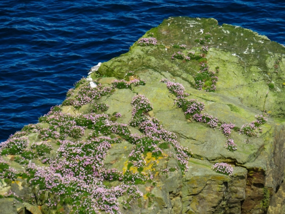 PLA01-24, Day 4, IMG_6436 © Unknown photographer - Oceanwide Expeditions.jpg