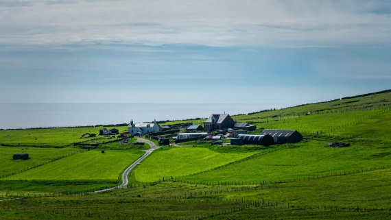 PLA01-24, Day 4, PAZ_4145 © Alexander Romanovskiy - Oceanwide Expeditions.jpg