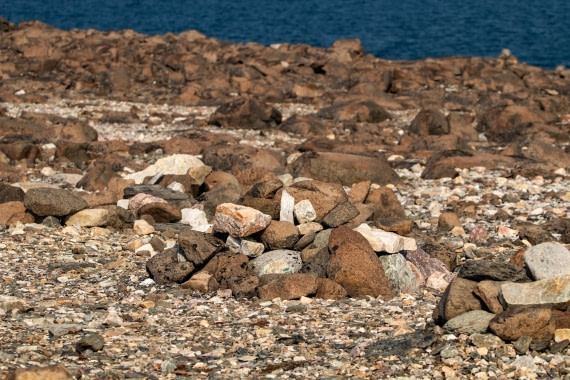 PLA02-24, Day 4, IMG_3894 © Paolo Bellezze - Oceanwide Expeditions.jpg