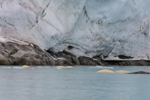 HDS03-24, Day 2, _DSC3857 © Unknown photographer - Oceanwide Expeditions.jpg