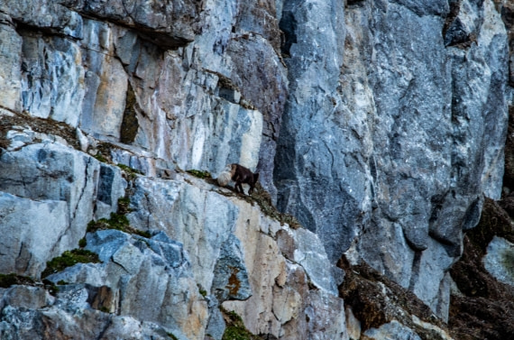 PLA03-24, Day 2, IMG_4401 © Unknown photographer - Oceanwide Expeditions.jpg