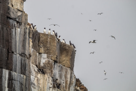 PLA03-24, Day 4, IMG_4839 © Unknown photographer - Oceanwide Expeditions.jpg