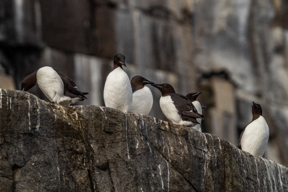 PLA03-24, Day 4, IMG_4851 © Unknown photographer - Oceanwide Expeditions.jpg
