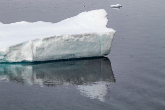 PLA03-24, Day 5, IMG_5088 © Unknown photographer - Oceanwide Expeditions.jpg