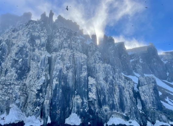 OTL03-24, Day 4, Alkefjellet-Barbara Post (4)© Barbara Post - Oceanwide Expeditions.jpeg