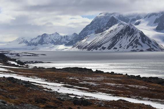 PLA04-24, Day 2, IMG_8721 © Beth Hitchcock - Oceanwide Expeditions.JPG