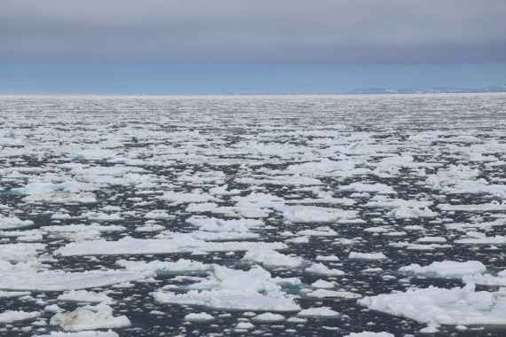 PLA04-24, Day 3, IMG_8752 © Beth Hitchcock - Oceanwide Expeditions.JPG