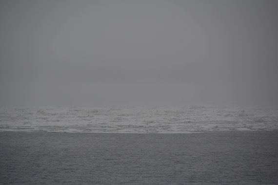 PLA04-24, Day 5, DSC_0561 © Paolo Bellezze - Oceanwide Expeditions.jpg