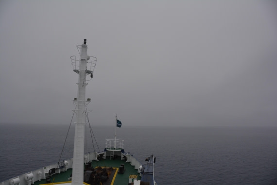 PLA04-24, Day 5, DSC_0562 © Paolo Bellezze - Oceanwide Expeditions.jpg