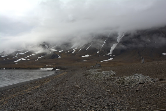 PLA04-24, Day 5, DSC_0609 © Paolo Bellezze - Oceanwide Expeditions.jpg