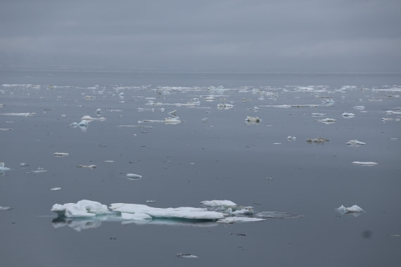 PLA04-24, Day 5, IMG_8843 © Beth Hitchcock - Oceanwide Expeditions.JPG