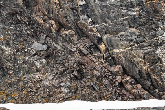 PLA04-24, Day 6, IMG_5954 © Unknown photographer - Oceanwide Expeditions.jpg