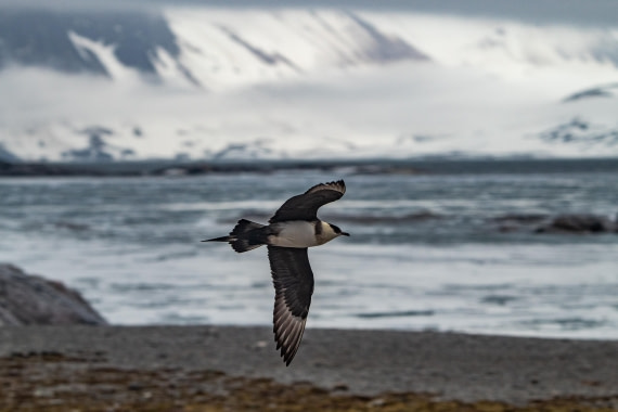 PLA04-24, Day 6, IMG_6006 © Unknown photographer - Oceanwide Expeditions.jpg