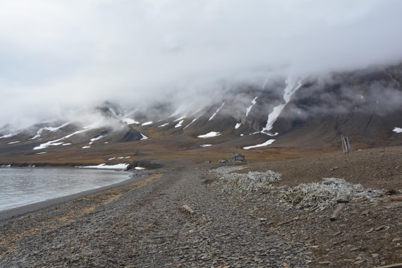 PLA04-24, Day 7, DSC_0609 © Paolo Bellezze - Oceanwide Expeditions.jpg