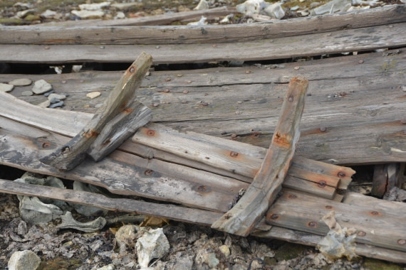 PLA04-24, Day 7, DSC_0618 © Paolo Bellezze - Oceanwide Expeditions.jpg