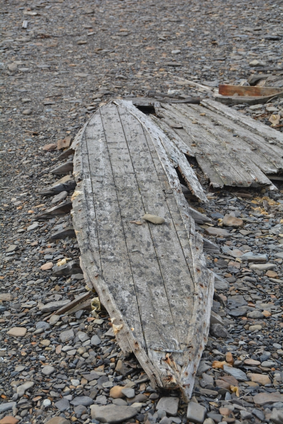 PLA04-24, Day 7, DSC_0619 © Paolo Bellezze - Oceanwide Expeditions.jpg