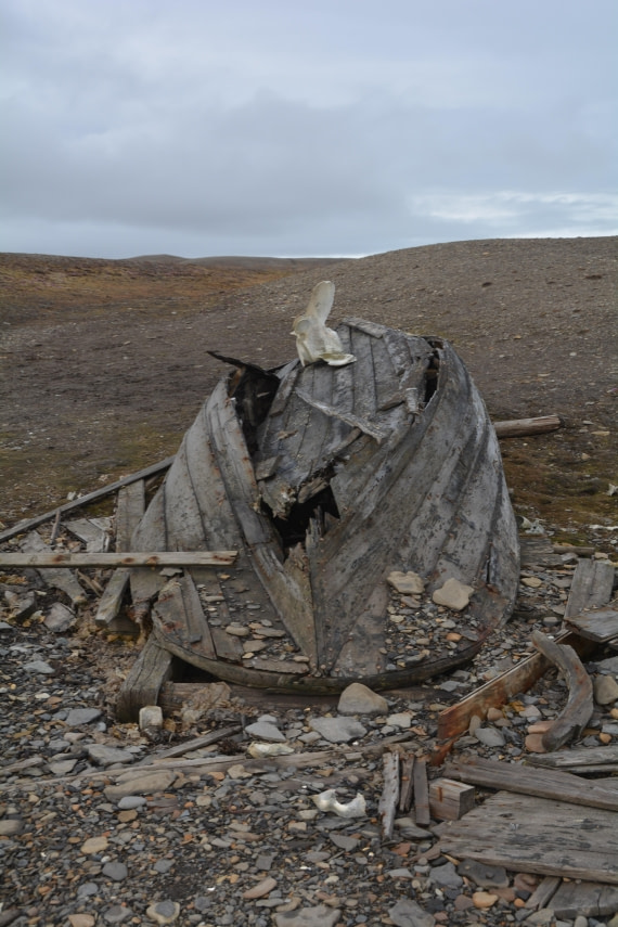 PLA04-24, Day 7, DSC_0623 © Paolo Bellezze - Oceanwide Expeditions.jpg