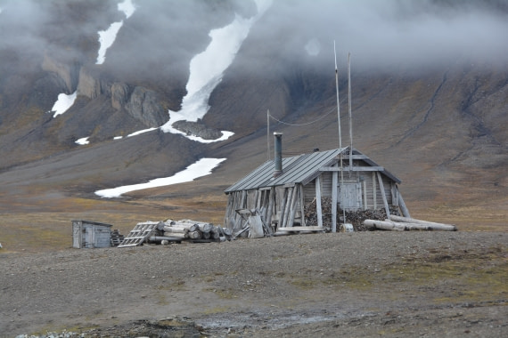 PLA04-24, Day 7, DSC_0625 © Paolo Bellezze - Oceanwide Expeditions.jpg