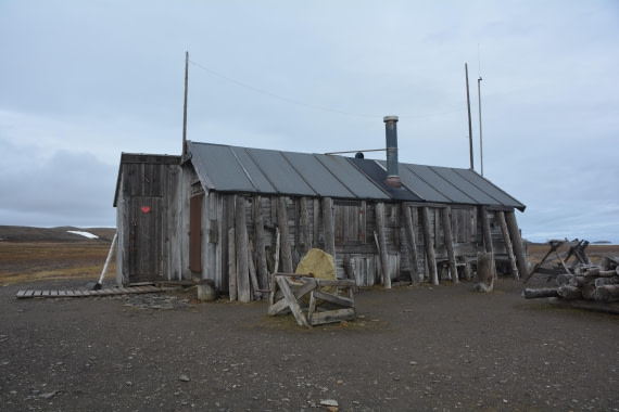 PLA04-24, Day 7, DSC_0626 © Paolo Bellezze - Oceanwide Expeditions.jpg