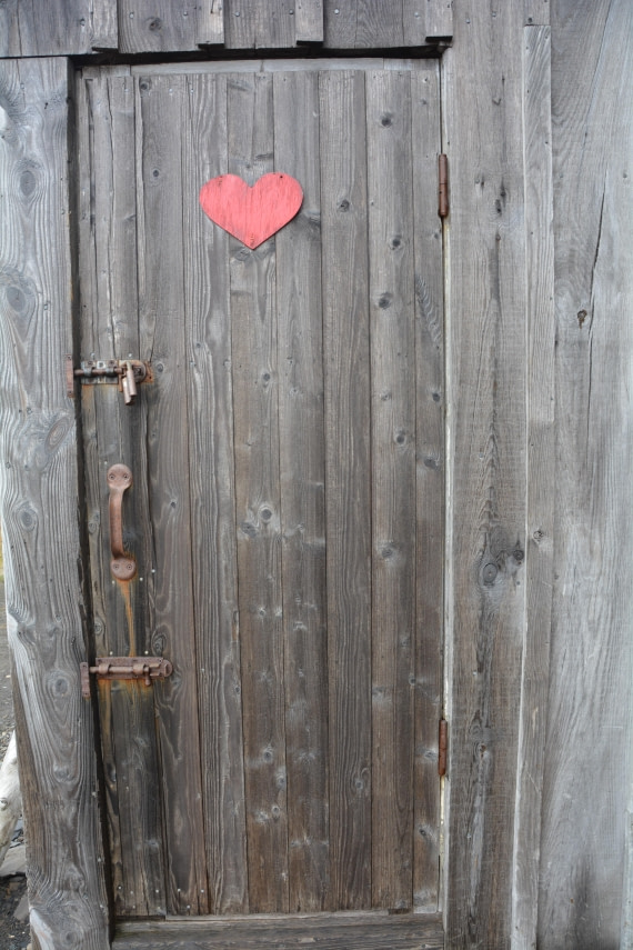 PLA04-24, Day 7, DSC_0628 © Paolo Bellezze - Oceanwide Expeditions.jpg