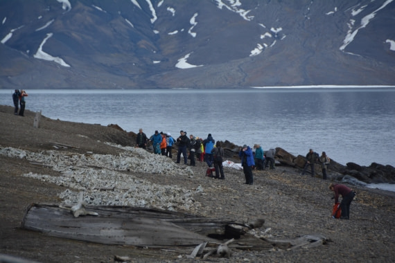 PLA04-24, Day 7, DSC_0631 © Paolo Bellezze - Oceanwide Expeditions.jpg