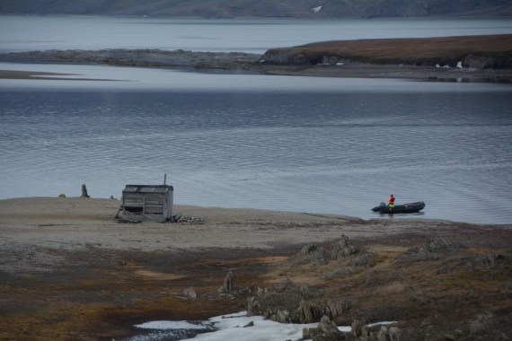 PLA04-24, Day 7, DSC_0655 © Paolo Bellezze - Oceanwide Expeditions.jpg