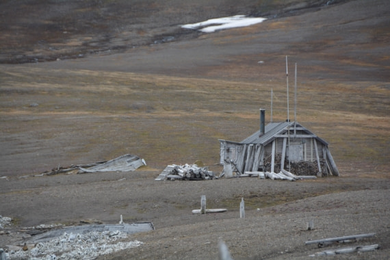 PLA04-24, Day 7, DSC_0665 © Paolo Bellezze - Oceanwide Expeditions.jpg