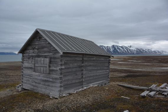PLA04-24, Day 7, DSC_0667 © Paolo Bellezze - Oceanwide Expeditions.jpg