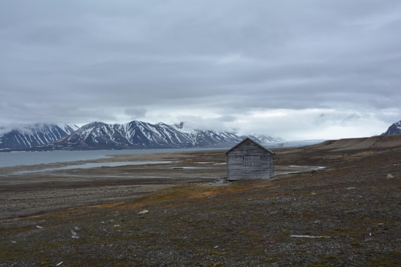 PLA04-24, Day 7, DSC_0671 © Paolo Bellezze - Oceanwide Expeditions.jpg
